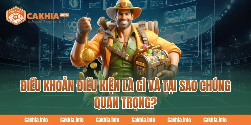 Điều Khoản Điều Kiện Là Gì Và Tại Sao Chúng Quan Trọng?