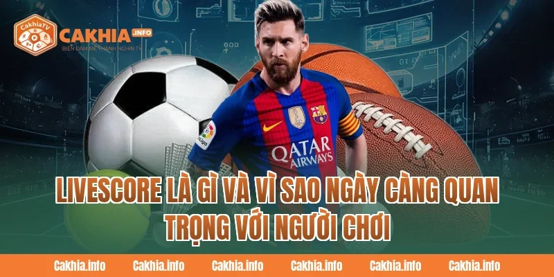 Livescore là gì và vì sao ngày càng quan trọng với người chơi