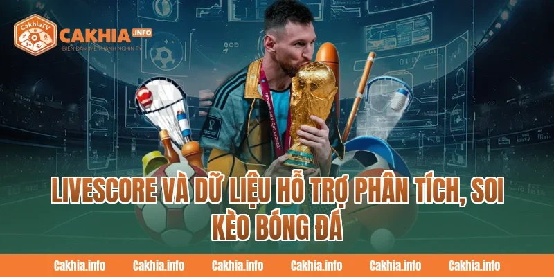 Livescore và dữ liệu hỗ trợ phân tích, soi kèo bóng đá